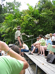 113 Cairns Tropical Zoo